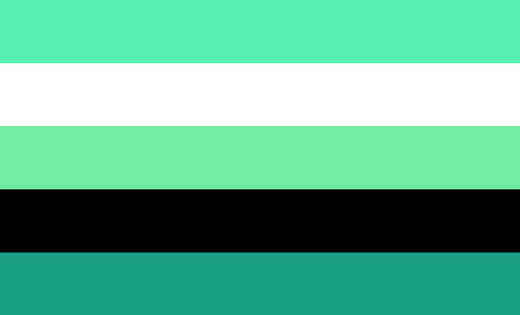 SYSTEMFLUID FLAG
